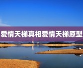 爱情天梯真相爱情天梯原型