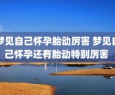 梦见自己怀孕胎动厉害 梦见自己怀孕还有胎动特别厉害 