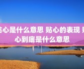 贴心是什么意思 贴心的表现 贴心到底是什么意思
