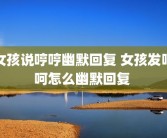 女孩说哼哼幽默回复 女孩发呵呵怎么幽默回复 