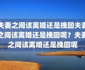 夫妻之间该离婚还是挽回夫妻之间该离婚还是挽回呢？夫妻之间该离婚还是挽回呢