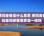 感同身受是什么意思 感同身受和身同感受意思是一样吗 