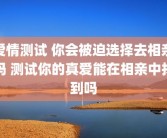 爱情测试 你会被迫选择去相亲吗 测试你的真爱能在相亲中找到吗
