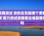 智商测试 你的左右脑哪个更聪明 智力测试你能看出谁最聪明吗