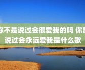 你不是说过会很爱我的吗 你曾说过会永远爱我是什么歌