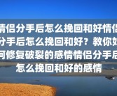 情侣分手后怎么挽回和好情侣分手后怎么挽回和好？教你如何修复破裂的感情情侣分手后怎么挽回和好的感情