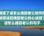 说错了话怎么挽回老公如何在说错话后挽回老公的心说错了话怎么挽回老公的句子
