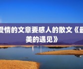 爱情的文章要感人的散文《最美的遇见》