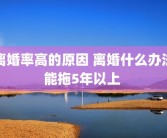 离婚率高的原因 离婚什么办法能拖5年以上 
