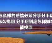 怎么样的感情必须分手分手后怎么挽回 分手后到底怎样做才能挽回