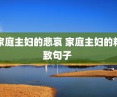 家庭主妇的悲哀 家庭主妇的精致句子 