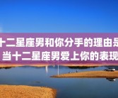 十二星座男和你分手的理由是 当十二星座男爱上你的表现