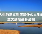 人生的意义到底是什么人生的意义到底是什么呢