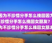 因为不珍惜分手怎么挽回因为不珍惜分手怎么挽回女朋友？因为不珍惜分手怎么挽回女朋友