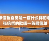 张信哲直觉是一首什么样的歌 张信哲的歌哪一首最简单