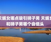 天蝎女哪点吸引狮子男 天蝎女和狮子男哪个会低头 