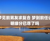 梦见前男友求复合 梦到前任说明缘分已尽了吗 