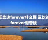 瓦坎达forever什么梗 瓦坎达forever谐音梗 