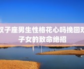 双子座男生性格花心吗挽回双子女的致命绝招