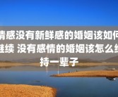 情感没有新鲜感的婚姻该如何继续 没有感情的婚姻该怎么维持一辈子