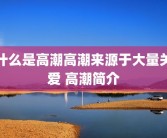 什么是高潮高潮来源于大量关爱 高潮简介