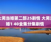 大男当婚第二部25剧情 大男当婚1 40全集分集剧情 