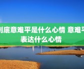 到底意难平是什么心情 意难平表达什么心情 