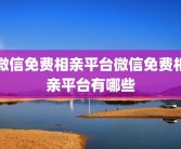 微信免费相亲平台微信免费相亲平台有哪些
