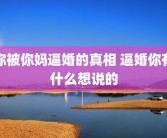 你被你妈逼婚的真相 逼婚你有什么想说的
