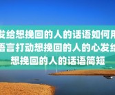 发给想挽回的人的话语如何用语言打动想挽回的人的心发给想挽回的人的话语简短