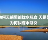 为何天蝎男都找水瓶女 天蝎男为何纠缠水瓶女 