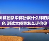测试团队中你扮演什么样的角色 测试大领导怎么评价你