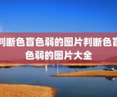 判断色盲色弱的图片判断色盲色弱的图片大全