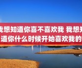 我想知道你喜不喜欢我 我想知道你什么时候开始喜欢我的