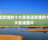 送玫瑰的十大忌讳送玫瑰的十大忌讳图片