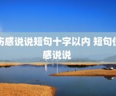 伤感说说短句十字以内 短句伤感说说 