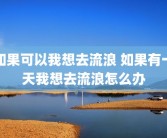 如果可以我想去流浪 如果有一天我想去流浪怎么办