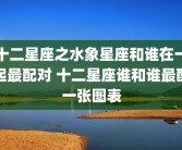 十二星座之水象星座和谁在一起最配对 十二星座谁和谁最配一张图表