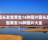 圆头发型男生16种图片圆头发型男生16种图片大全