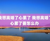 我想离婚了心累了 我想离婚了心累了要怎么办 