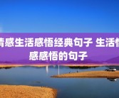 情感生活感悟经典句子 生活情感感悟的句子 