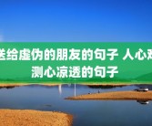 送给虚伪的朋友的句子 人心难测心凉透的句子 