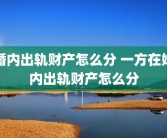 婚内出轨财产怎么分 一方在婚内出轨财产怎么分