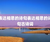表达相思的诗句表达相思的诗句古诗词