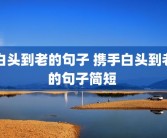 白头到老的句子 携手白头到老的句子简短 