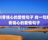 刻骨铭心的爱情句子 找一句刻骨铭心的爱情句子