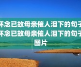 怀念已故母亲催人泪下的句子怀念已故母亲催人泪下的句子图片