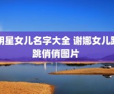 明星女儿名字大全 谢娜女儿跳跳俏俏图片 