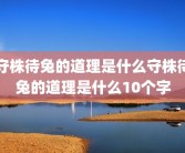 守株待兔的道理是什么守株待兔的道理是什么10个字