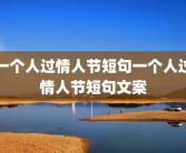 一个人过情人节短句一个人过情人节短句文案